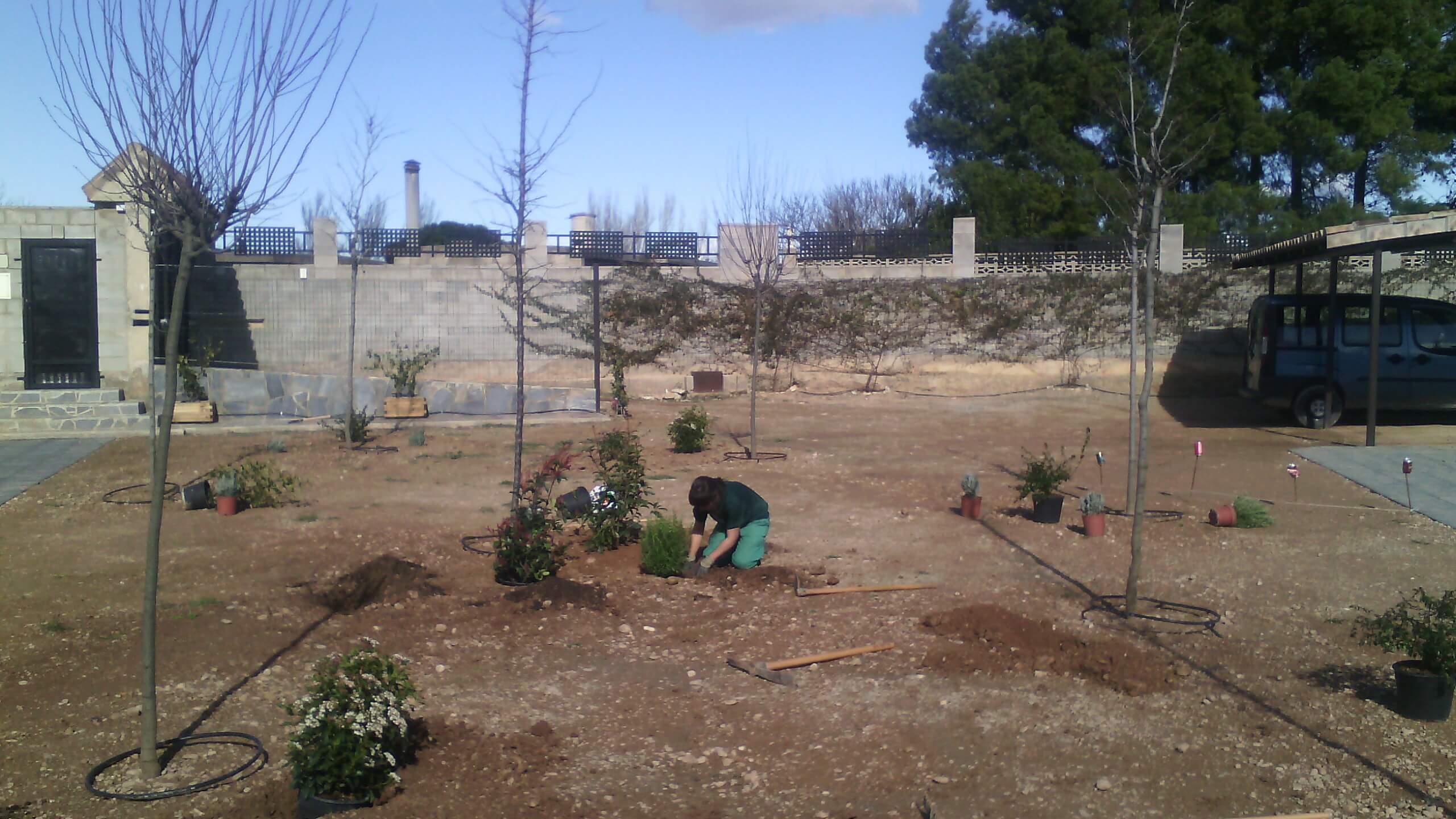 plantacion de elementos vegetales en zaragiza