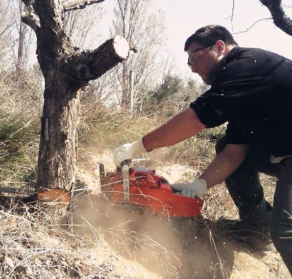 servicios forestales en zaragoza