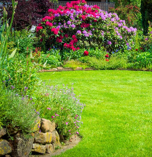 Mantenimiento de jardines en zaragoza