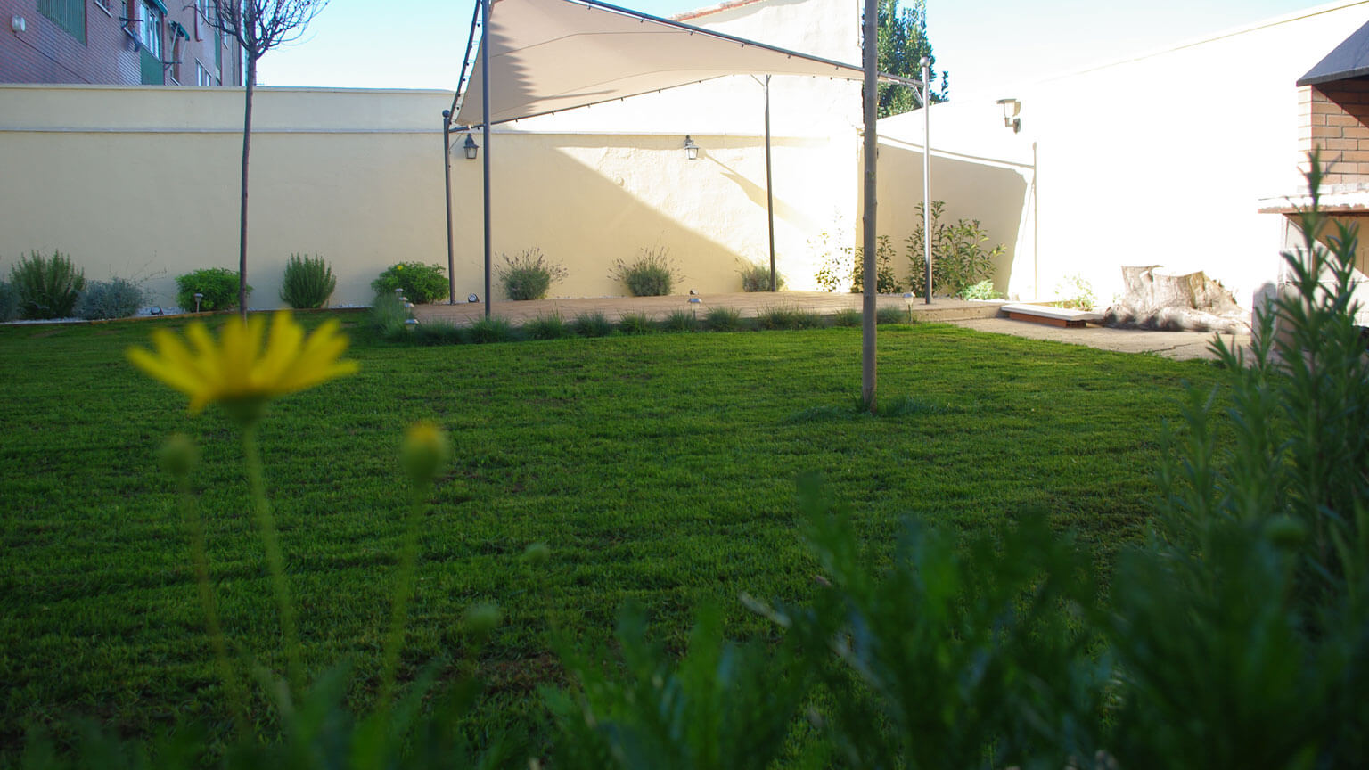 servicios-jardineria-zaragoza-15